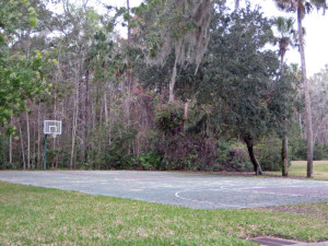 Sawmill Lakes Basketball Court