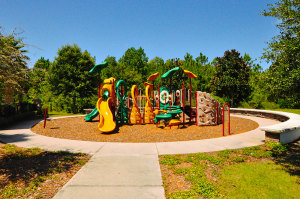 The Colony at Greenbriar - Playground