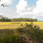 Marsh Views in St. Augustine